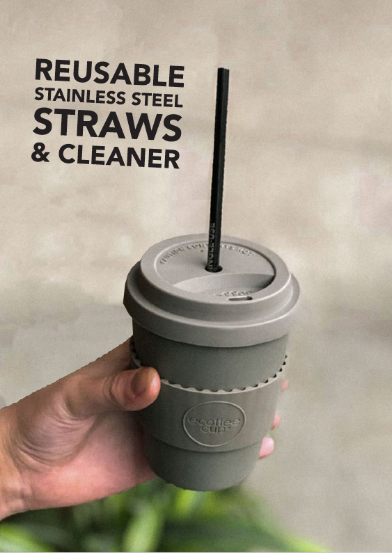 eCoffee Reusable Stainless Steel Black metal straw set - Daisy Park