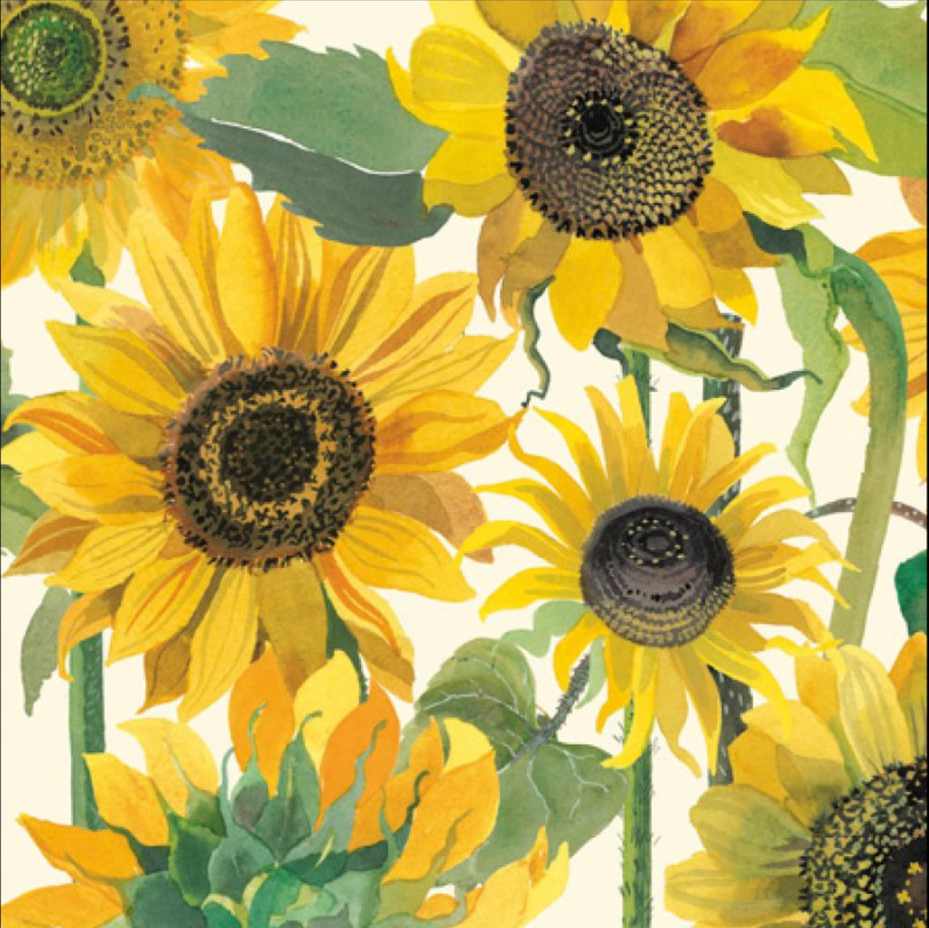 Emma Bridgewater Sunflowers card - Daisy Park