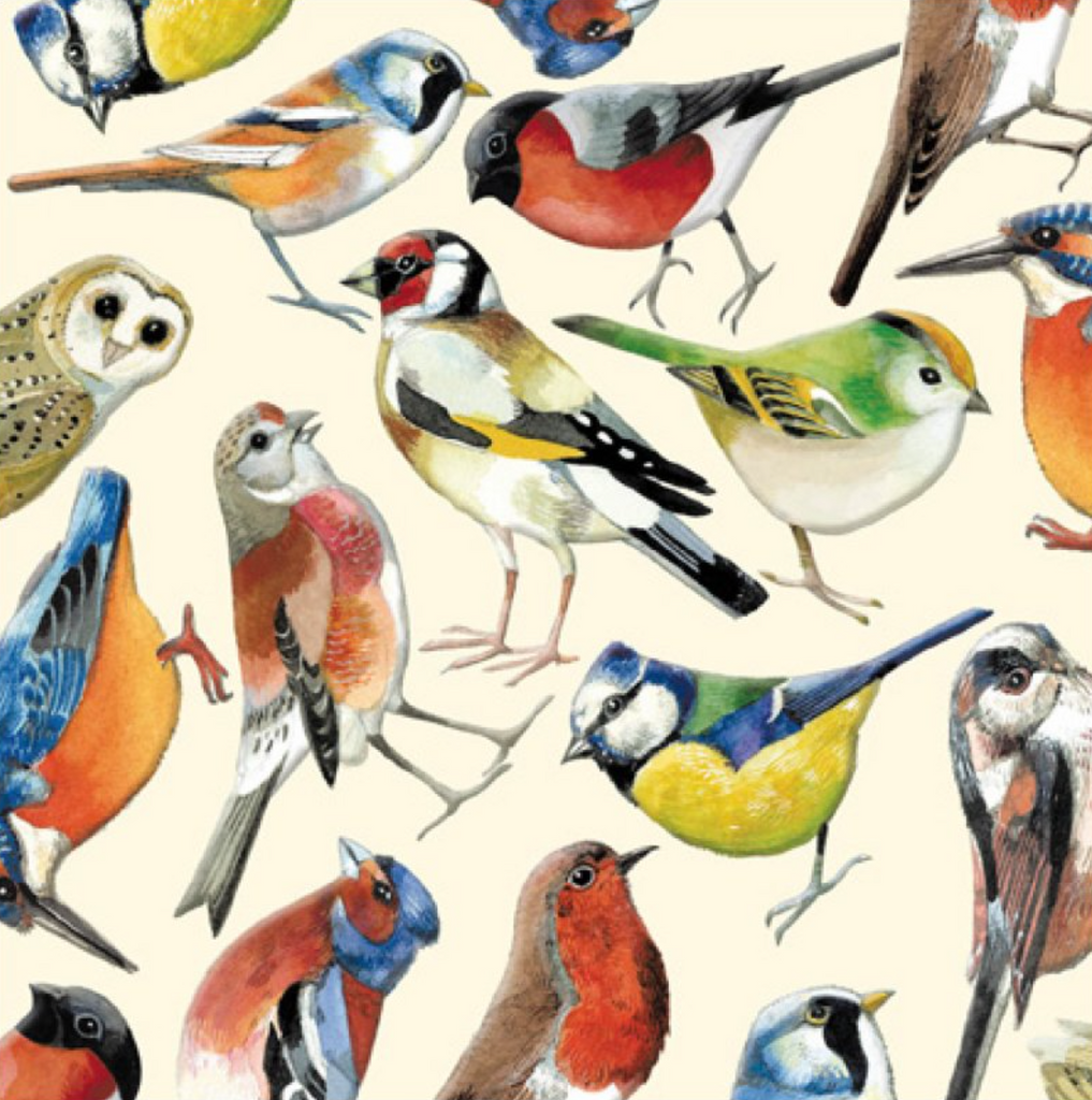 Emma Bridgewater Birds card - Daisy Park