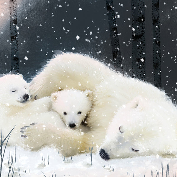 Family of Polar bears pack of 6 Charity cards - Daisy Park