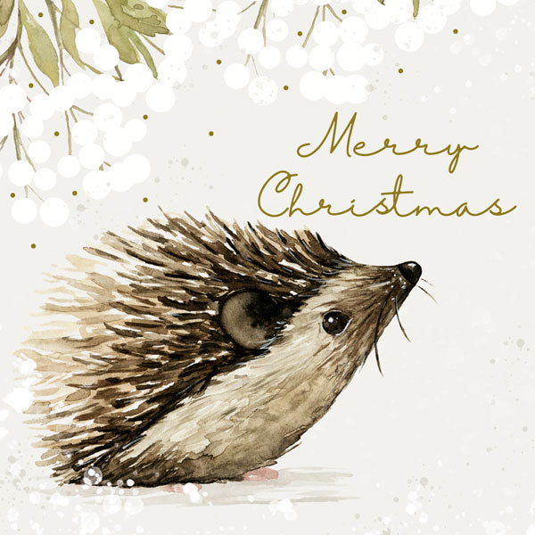 Hedgehog pack of 6 Charity cards - Daisy Park