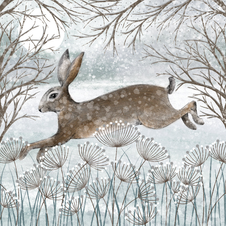 Frosty Field pack of 6 Charity cards - Daisy Park