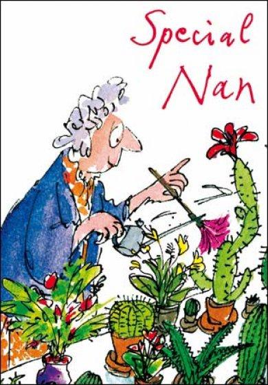 Quentin Blake Special Nan Card - Daisy Park