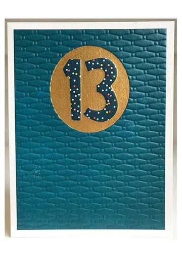 Age 13 blue birthday card - Daisy Park