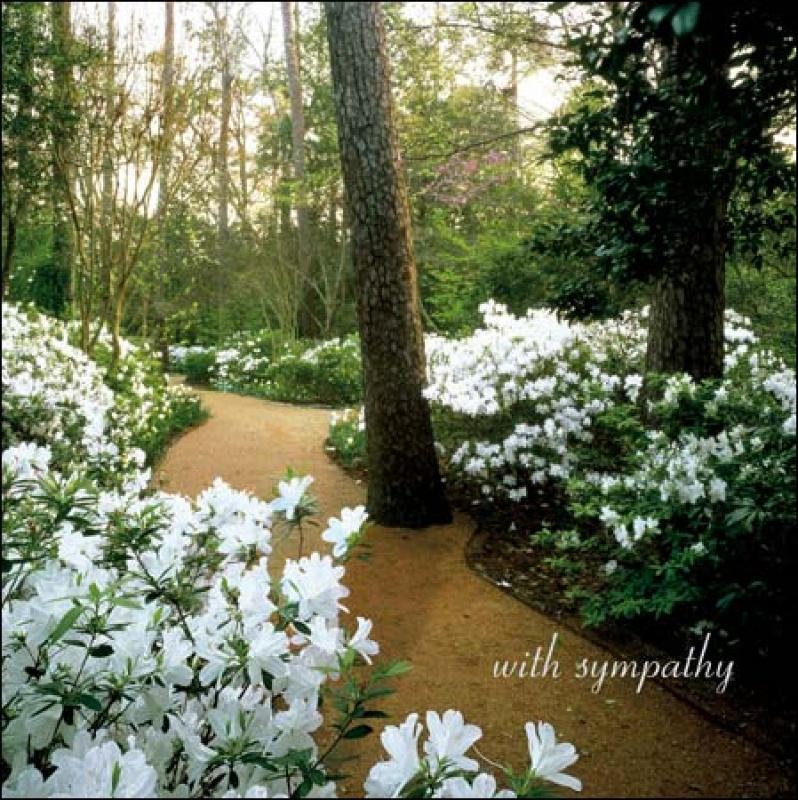 The White garden Sympathy card - Daisy Park