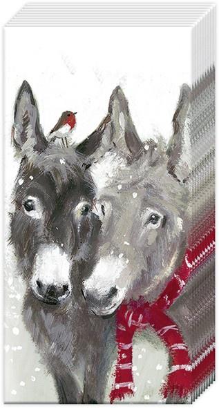 Pips and grey pocket tissues - Daisy Park