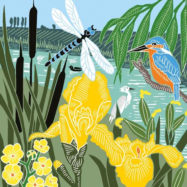 Kingfisher and dragonfly blank card - Daisy Park