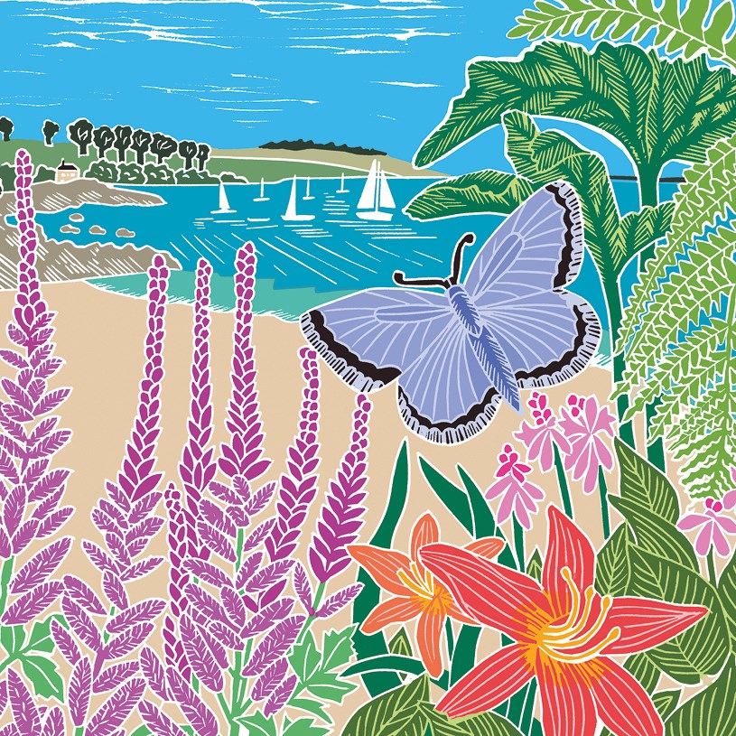 Blue butterfly and beach card - Daisy Park