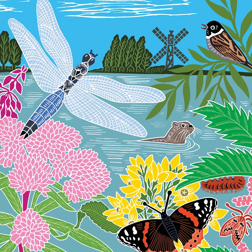 Dragonfly and otter card - Daisy Park