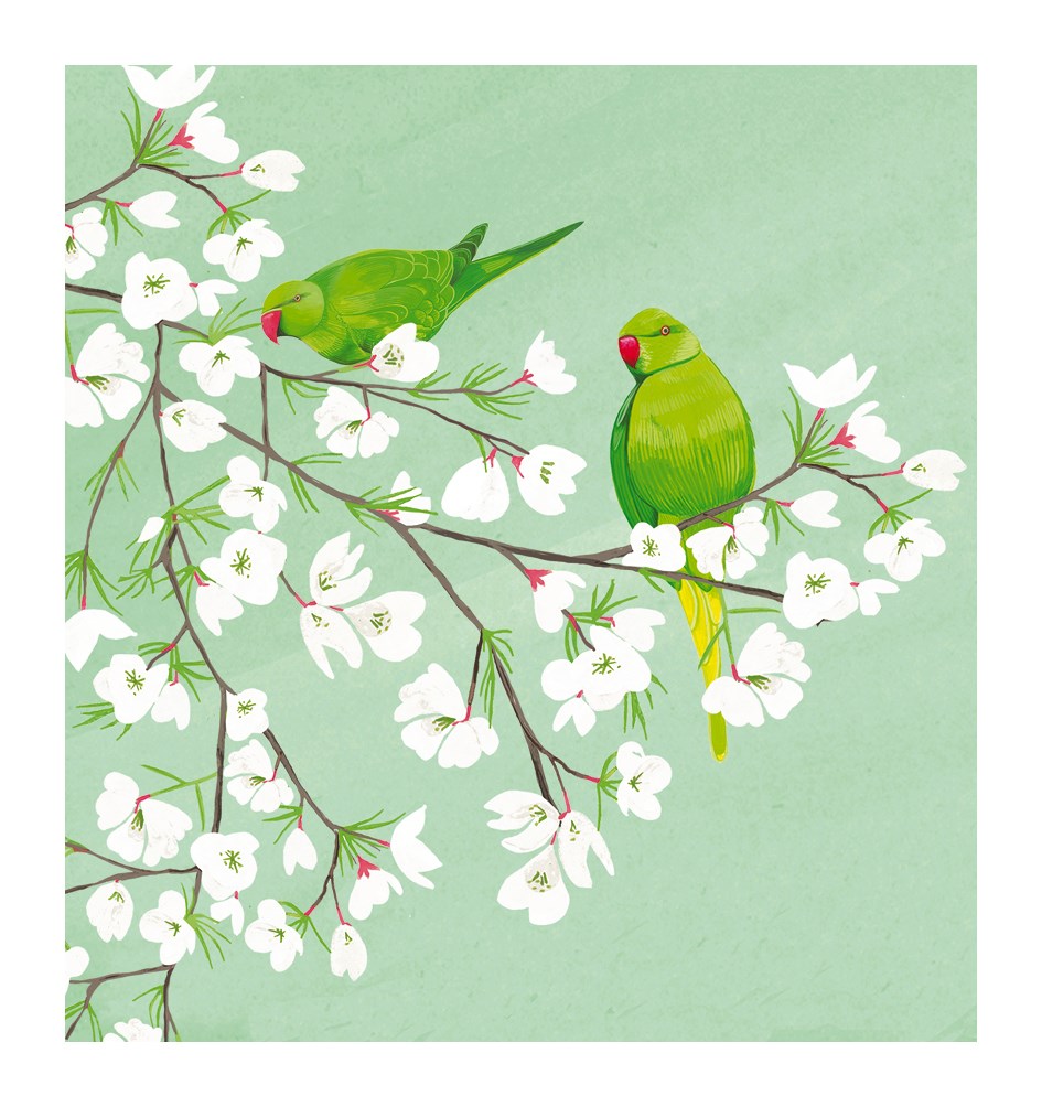 Green parakeets blank card - Daisy Park