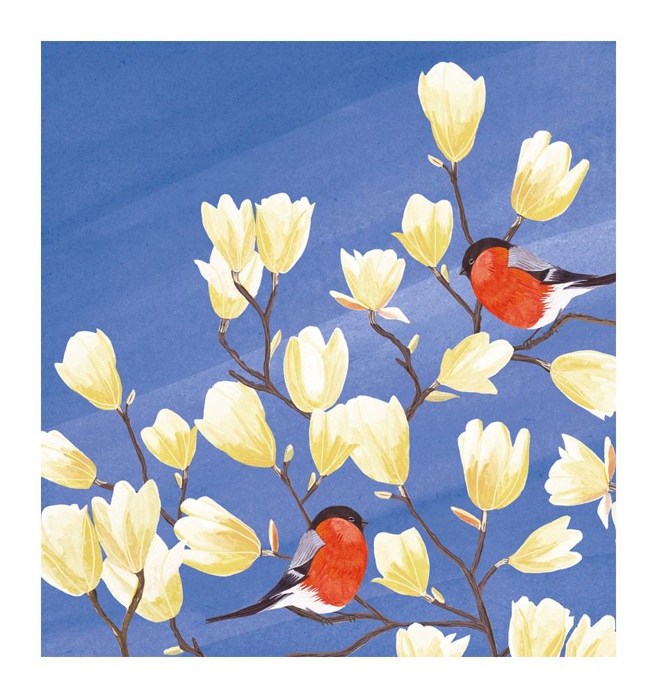 Magnolia and Bullfinch blank card - Daisy Park