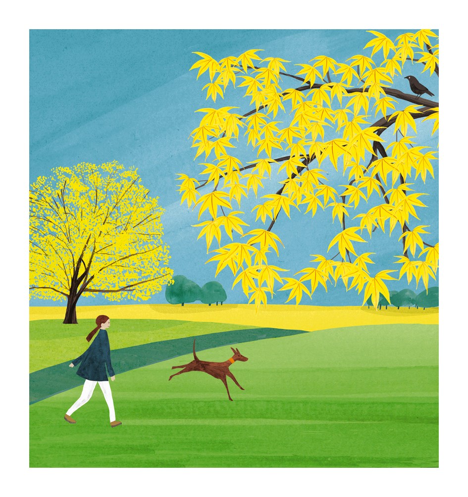 Yellow leaves and dog walker blank card - Daisy Park