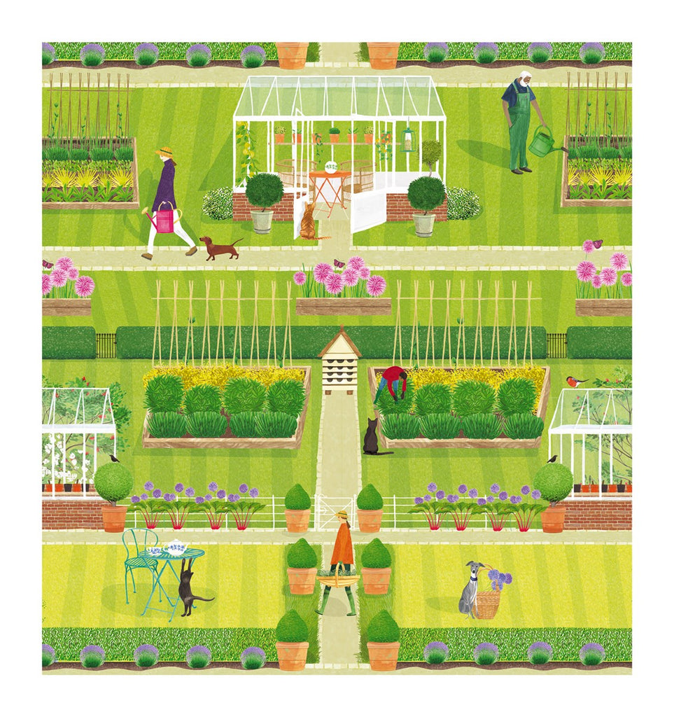 Gardens blank card - Daisy Park