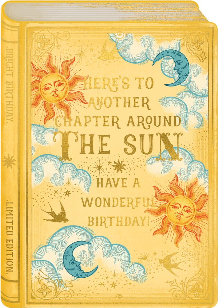 Around the sun book card - Daisy Park