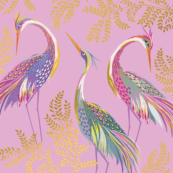 Three cranes on pink birthday card - Daisy Park