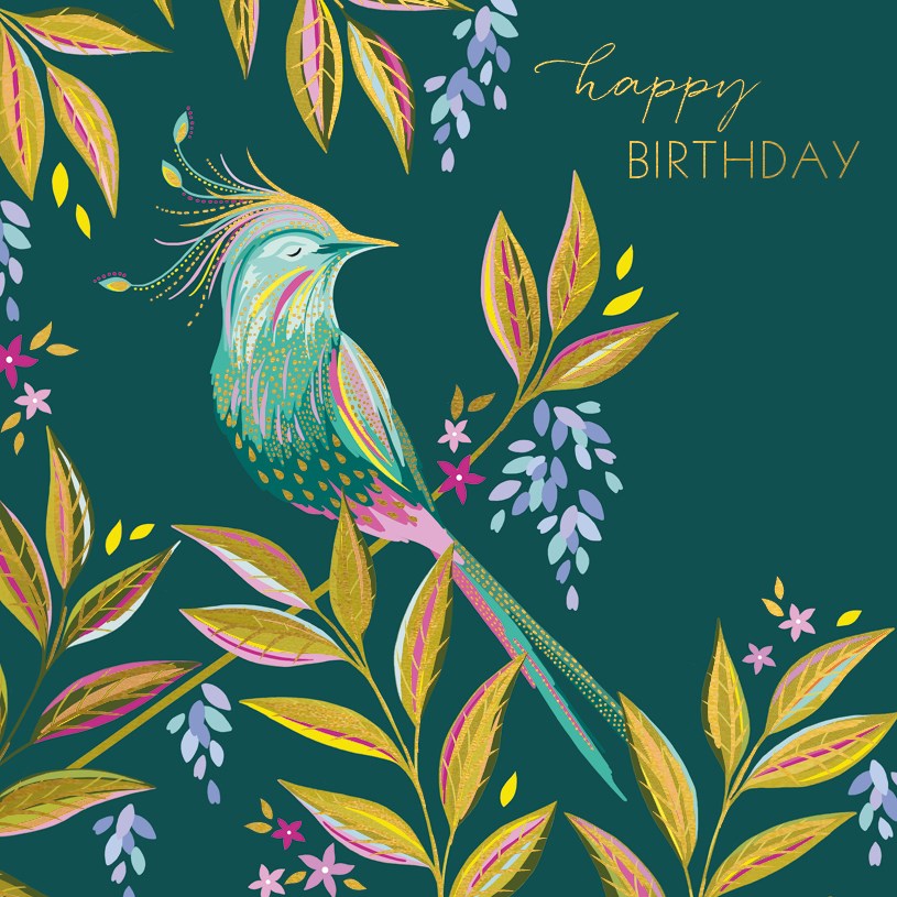 Colourful Bird Birthday Card - Daisy Park